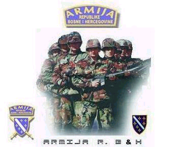 Bosnian Army Flag